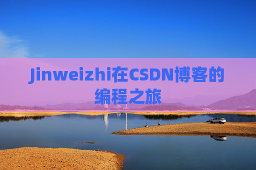 Jinweizhi在CSDN博客的编程之旅
